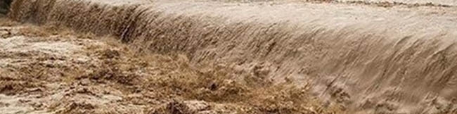 خسارت ۸۰۰ میلیارد تومانی سیل به صنعت شیلات/ مرگ ۸ هزار تن ماهی