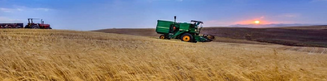 اجرای الگوی کشت نیازمند ۳۰هزار میلیارد تومان بودجه است