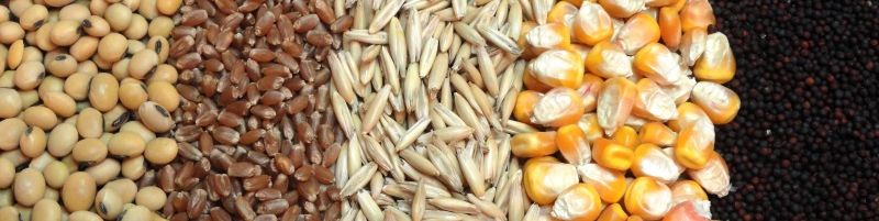 مطالبه حذف قیمت‌گذاری دستوری فروش نهاده‌های دامی