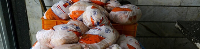 عرضه مرغ منجمد؛ بلای جان تولیدکنندگان!