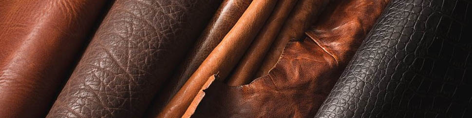 برای رقابت با ترکیه، نوسازی صنایع چرم باید تسریع شود