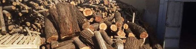 ایران سالانه به ۱۰ میلیون متر مکعب واردات چوب نیاز دارد