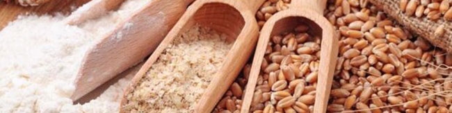 مشکلات واردکنندگان نهاده‌های دامی با بانک مرکزی همچنان لاینحل باقی مانده است