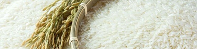 نماینده ساری: با افزایش تولید دیگر نیازی به واردات برنج نخواهد بود