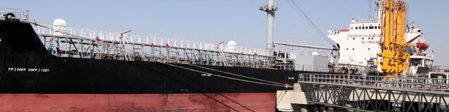 ایران نتوانست سهم زیادی از بازار روسیه را تصاحب کند/ باوجود تحریم‌ها، بنادر ایرانی مقصد محسوب نمی‌شود