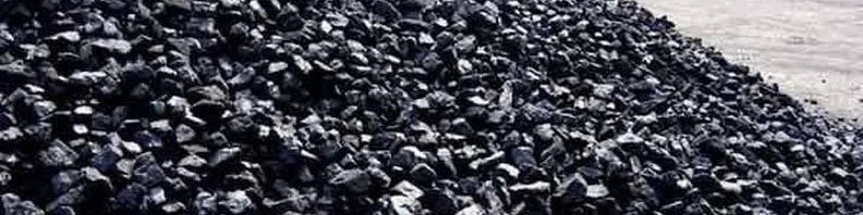 ایران جزو ۷ کشور برتر جهان در تولید کک اسفنجی