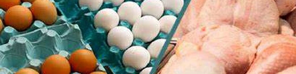 تصویب قیمت های جدید مرغ و تخم مرغ