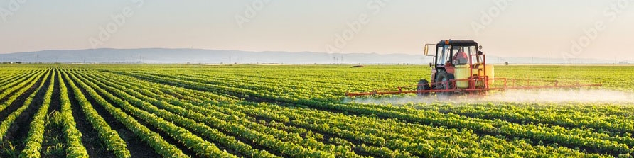 درباره کشاورزی بیشتر بدانیم