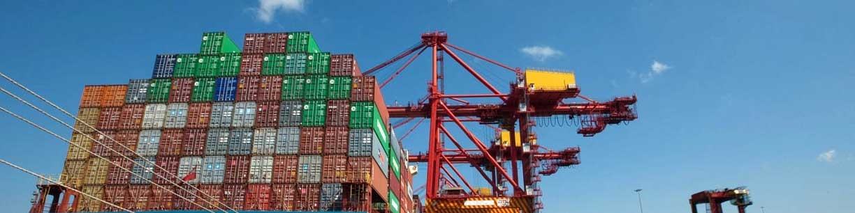 فعالیت خط منظم کانتینری بین بندر بوشهر و جبل‌علی امارات به‌زودی آغاز می‌شود