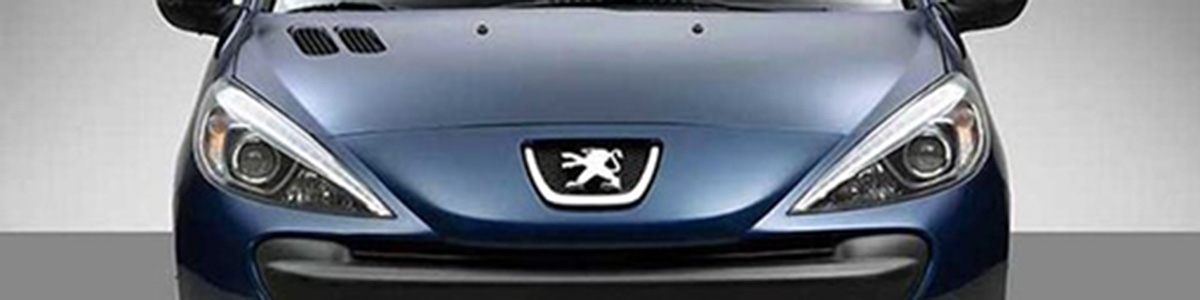 قیمت ۲۰۷ با موتور TU۳ مشخص شد