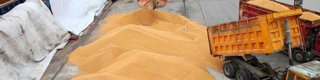 ضریب خودکفایی در کالاهای اساسی افزایش می‌یابد