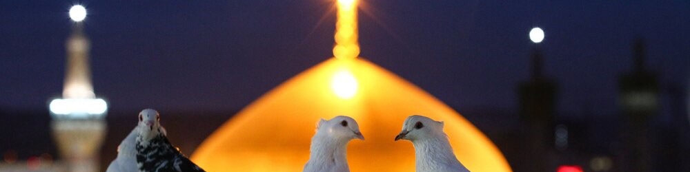 مسیر ریلی شیراز به مشهد را با کدام قطار سفر کنیم؟