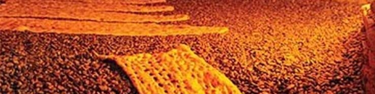 اما و اگرهای ترمیم قیمت نان/ چرا نانواها کم فروش و گران فروش شدند؟