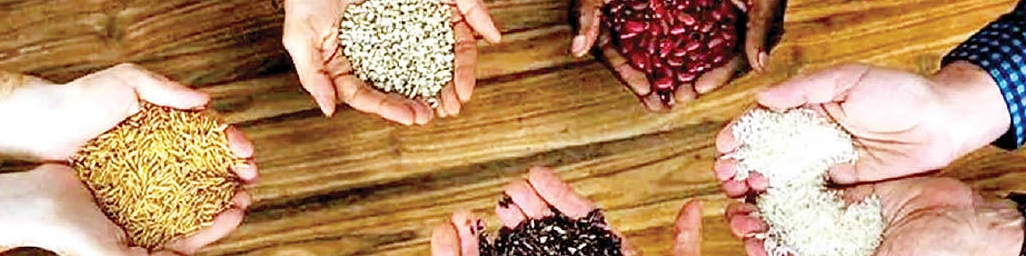 تاکتیک تامین امنیت غذایی