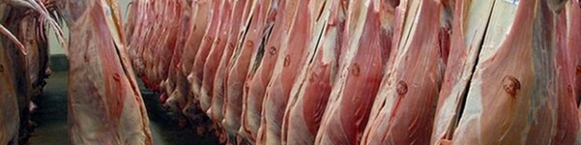 آخرین وضعیت تقاضا و قیمت گوشت