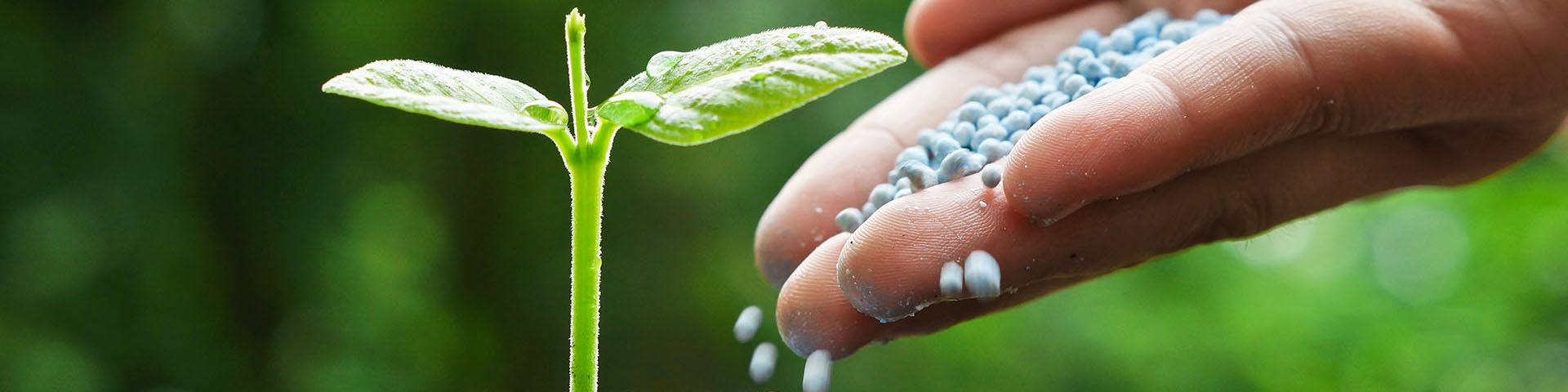 سانسرز: بازار اوره چین به طور موقت به ثبات رسید