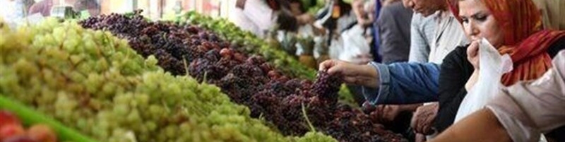 قیمت ۵۴ قلم سبزی و صیفی در تهران اعلام شد