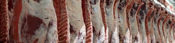 آیا بازار گوشت قرمز در ۳ماه آینده ساماندهی می‌شود؟