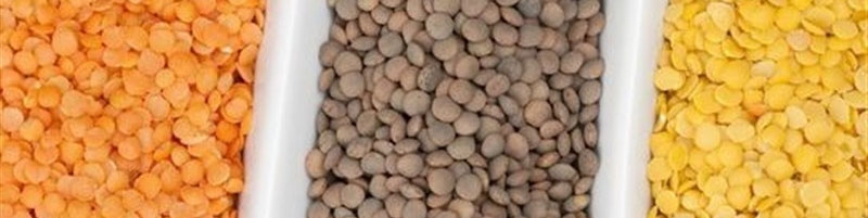 امکان خودکفایی در تولید حبوبات با ۳ اقدام/ سالانه ۸۰ هزار تن عدس از کانادا وارد می‌کنیم