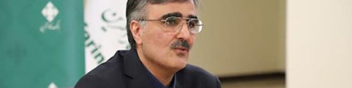 فرزین: صندوق تثبیت ارزی تاسیس می شود