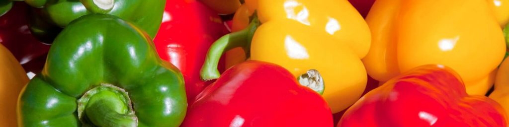 صادرات فلفل گلخانه‌ای به آسیا و اروپا آغاز شد