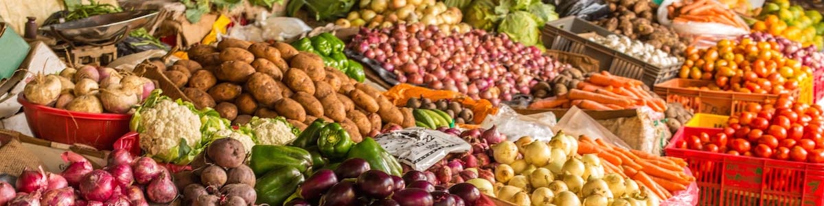 رشد ۱۸ درصدی صادرات محصولات غذایی و کشاورزی به آفریقا