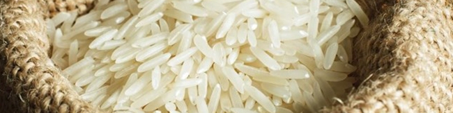سیستمی شدن ثبت واردات، بازار برنج را شفاف می‌کند