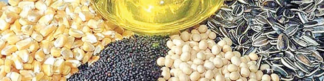 عراق، آمریکا و ایران عمده واردکنندگان حبوبات و غلات از ترکیه