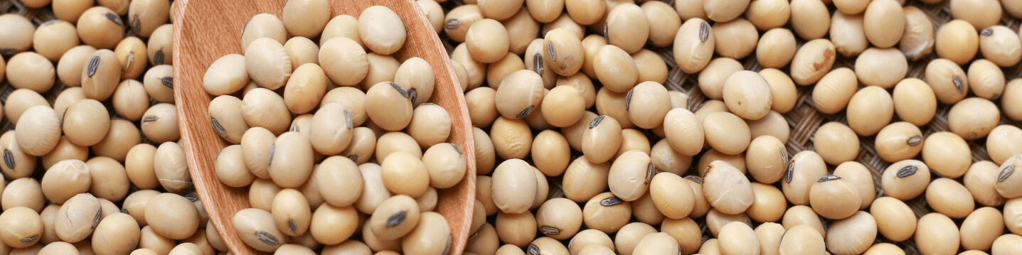 دانه سویا به جای کنجاله در لیست تهاتر قرار گیرد