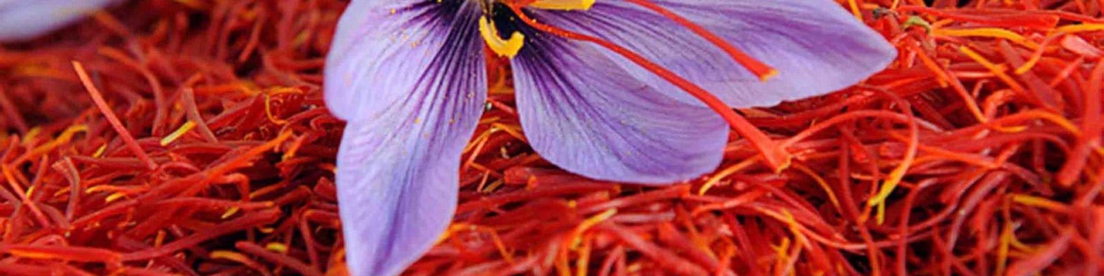 رفع تنگناهای ارزی صادرات زعفران/ ۹۰ درصد زعفران دنیا را تامین می‌کنیم