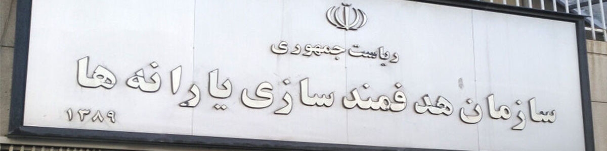 سرپرست سازمان هدفمندسازی یارانه‌ها منصوب شد