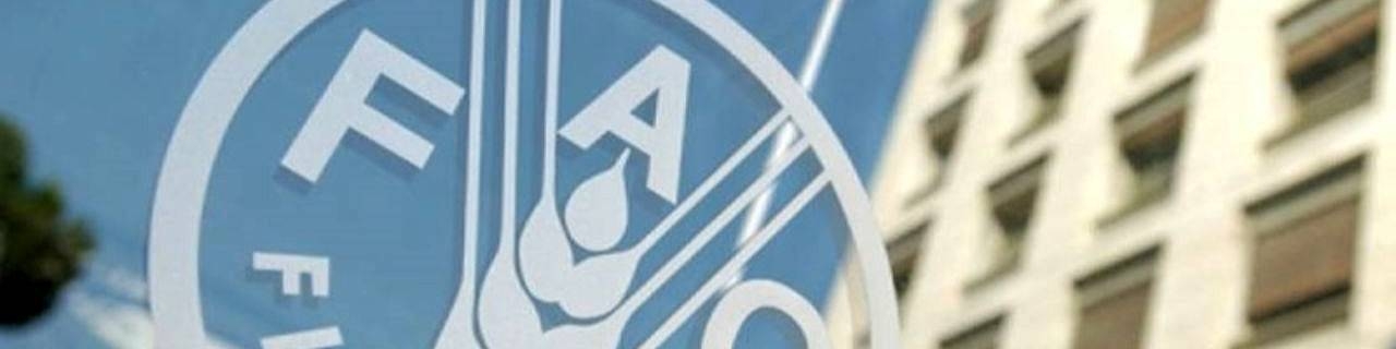 دستور کار فائو برای تبدیل ایران به مرکز امنیت غذایی کشورهای منطقه