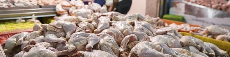 هر کیلوگرم گوشت مرغ بین ۷۸ تا ۸۶ هزار تومان در نوسان است