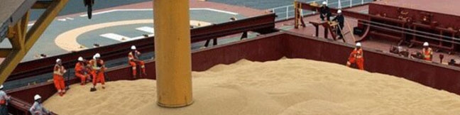 بدهی ۲۰۰ همتی خرید گندم در انتظار دولت چهاردهم / تاثیر مثبت سیاست تهاتر نفت با غلات