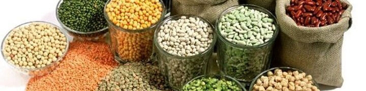 کمبود «لوبیا سفید» و دپو ۵ هزار تن حبوبات در گمرک