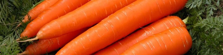 نرخ هر کیلوگرم سیب‌زمینی ۱۳ تا ۲۲ و هویج ۲۲ تا ۳۰ هزار تومان شد