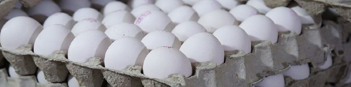 امروز هر کیلو گرم تخم‌مرغ بین ۵۶ تا ۵۹ هزار تومان متغیر است