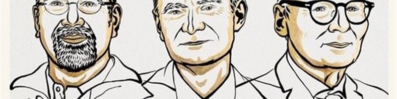 نوبل اقتصاد ۲۰۲۴ به ۳ آمریکایی رسید