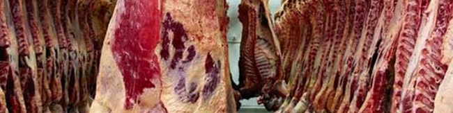 قیمت گوسفند زنده و انواع گوشت گوسفند