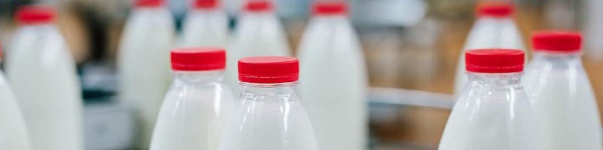 بررسی دلایل تفاوت قیمت شیرهای غنی‌شده؛ چرا برخی گران‌تر می‌فروشند؟