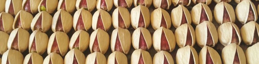 سیر نزولی صادرات پسته، چرا و چگونه؟