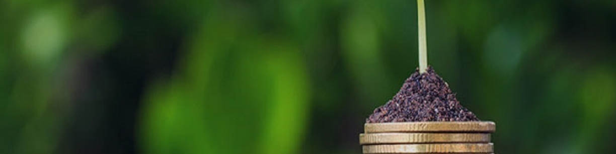 ریسک خطر بخش کشاورزی با بیمه محصولات به حداقل می‌رسد