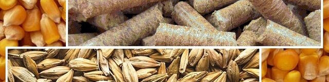 واردات سالانه دارو و افزودنی دام و طیور به ۷۰۰ میلیون دلار رسید