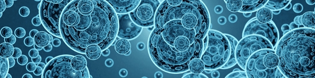 انقلاب نانوحباب‌ها در صنعت کشاورزی