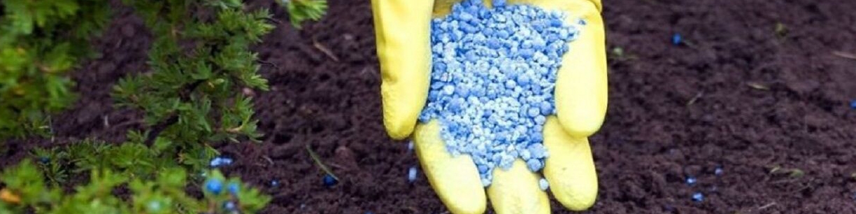 عرضه بیش از ۲۰ هزار تن کود کشاورزی یارانه‌ای در ۹ ماهه امسال