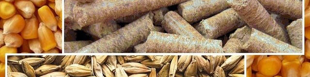 آخرین سقف قیمت ارزی انواع نهاده‌های دامی و غلات اعلام شد