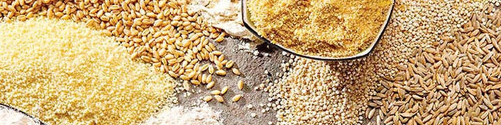 لازمه حفظ ثبات و آرامش کنونی بازار نهاده، تامین ارز مکفی است