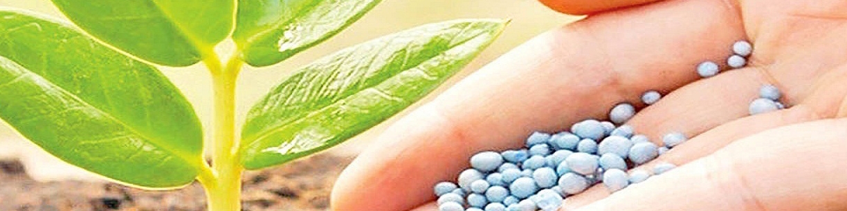 به وضعیت تولید کود شیمیایی رسیدگی شود