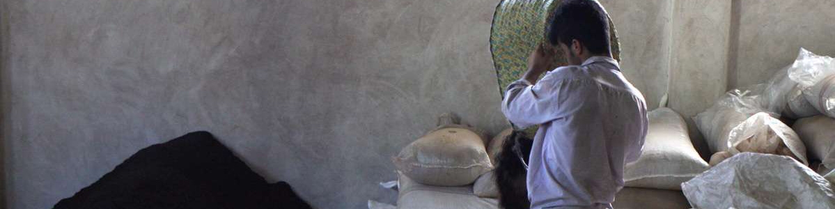 واردات قهوه از ۵۰ هزارتن فراتر می‌رود