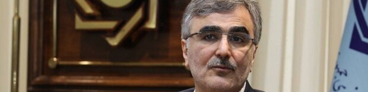 فرزین: بانک‌‎ها در اعطای تسهیلات خرد به مردم سخت‎گیری نکنند